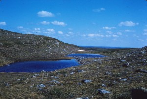 941_voorwfhvoll_nieuws